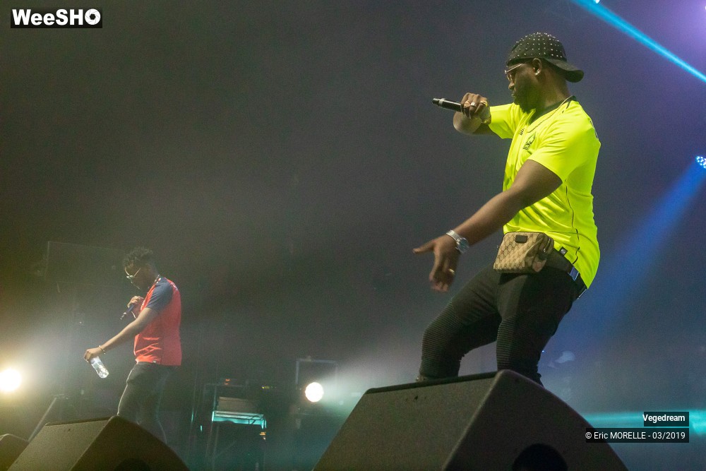 14/50 photos du spectacle Vegedream & la synesia