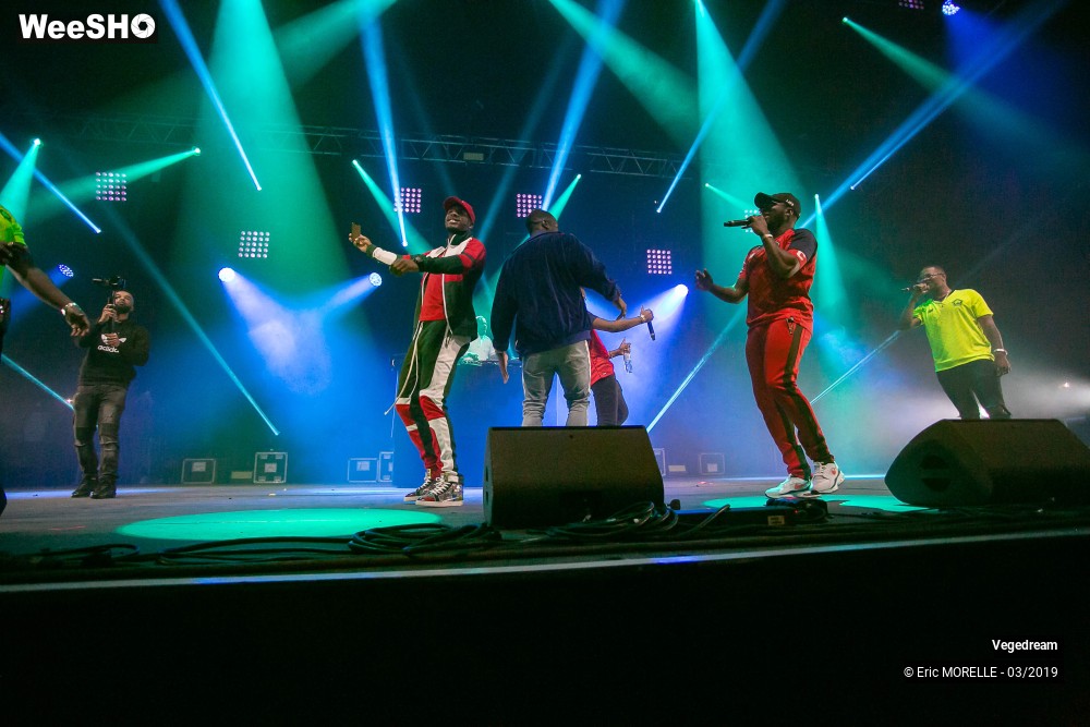 15/50 photos du spectacle Vegedream & la synesia