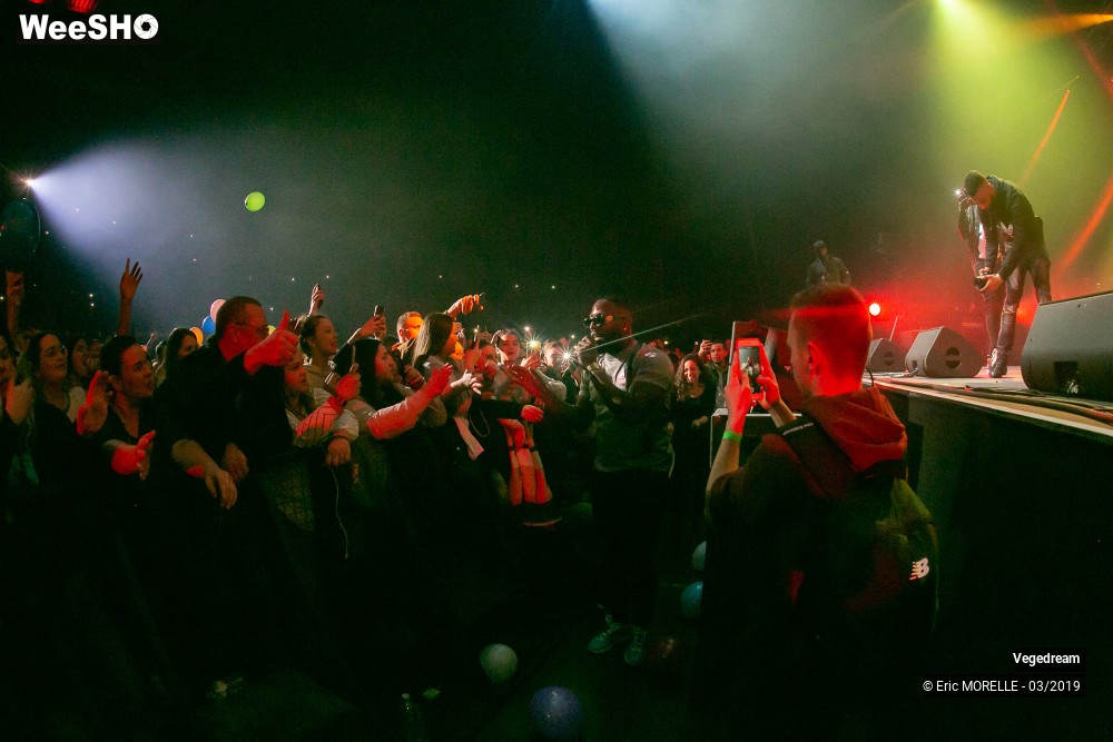 20/50 photos du spectacle Vegedream & la synesia