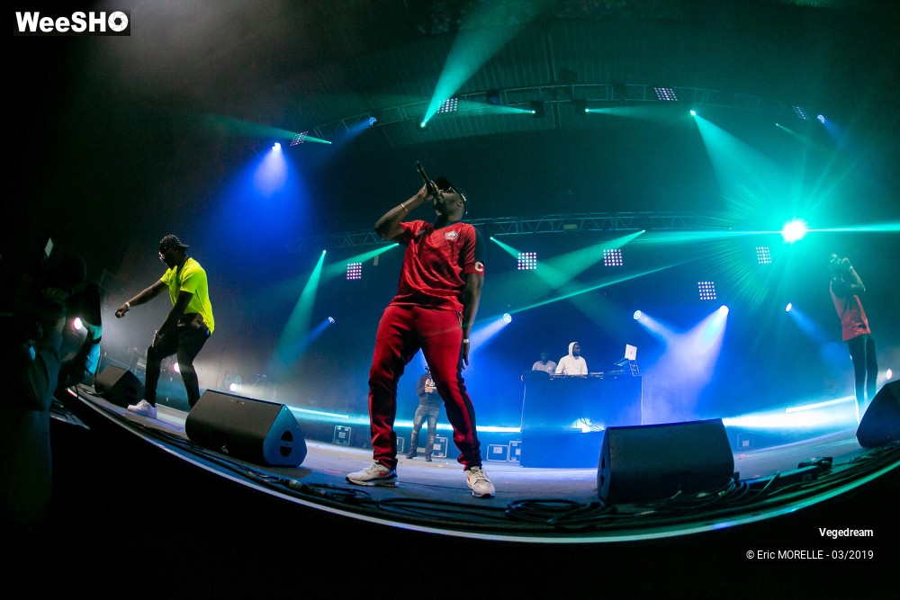 27/50 photos du spectacle Vegedream & la synesia