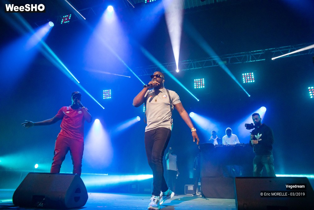 29/50 photos du spectacle Vegedream & la synesia