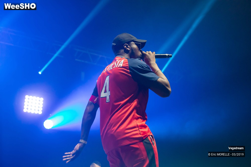 32/50 photos du spectacle Vegedream & la synesia