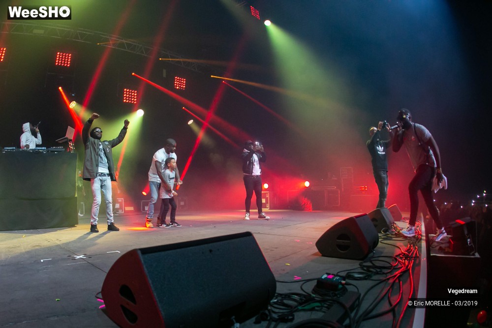 34/50 photos du spectacle Vegedream & la synesia