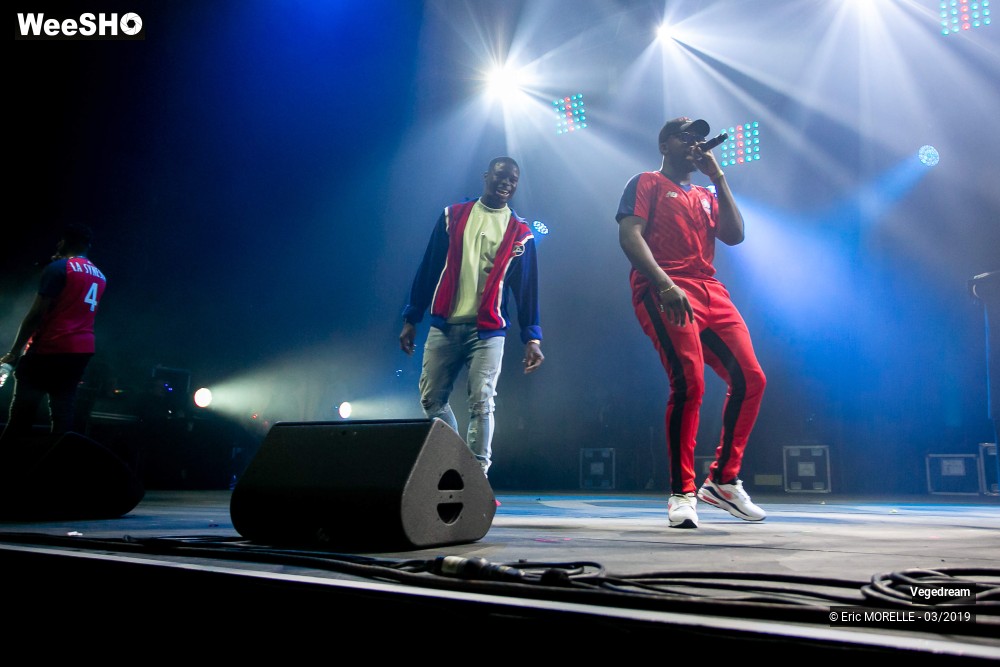 42/50 photos du spectacle Vegedream & la synesia