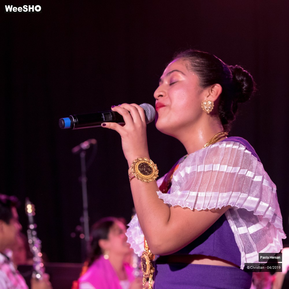 17/30 photos du spectacle Concert d'ouverture Eldorado