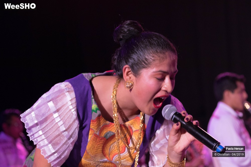 27/30 photos du spectacle Concert d'ouverture Eldorado