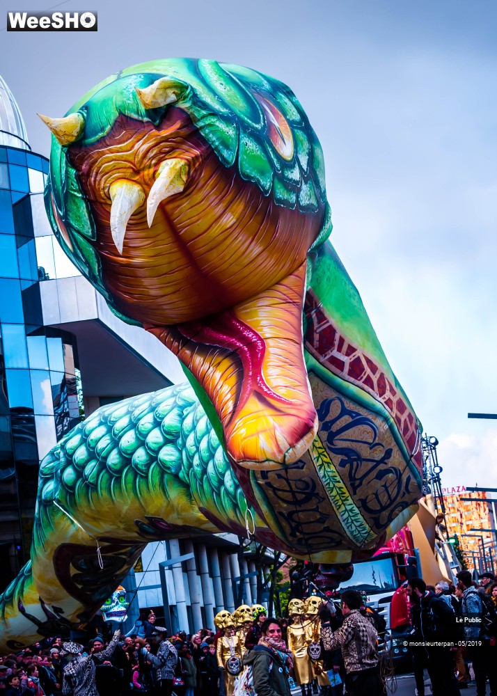 3/43 photos du spectacle Parade Eldorado