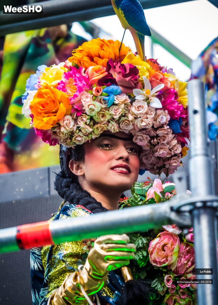 10/43 photos du spectacle Parade Eldorado