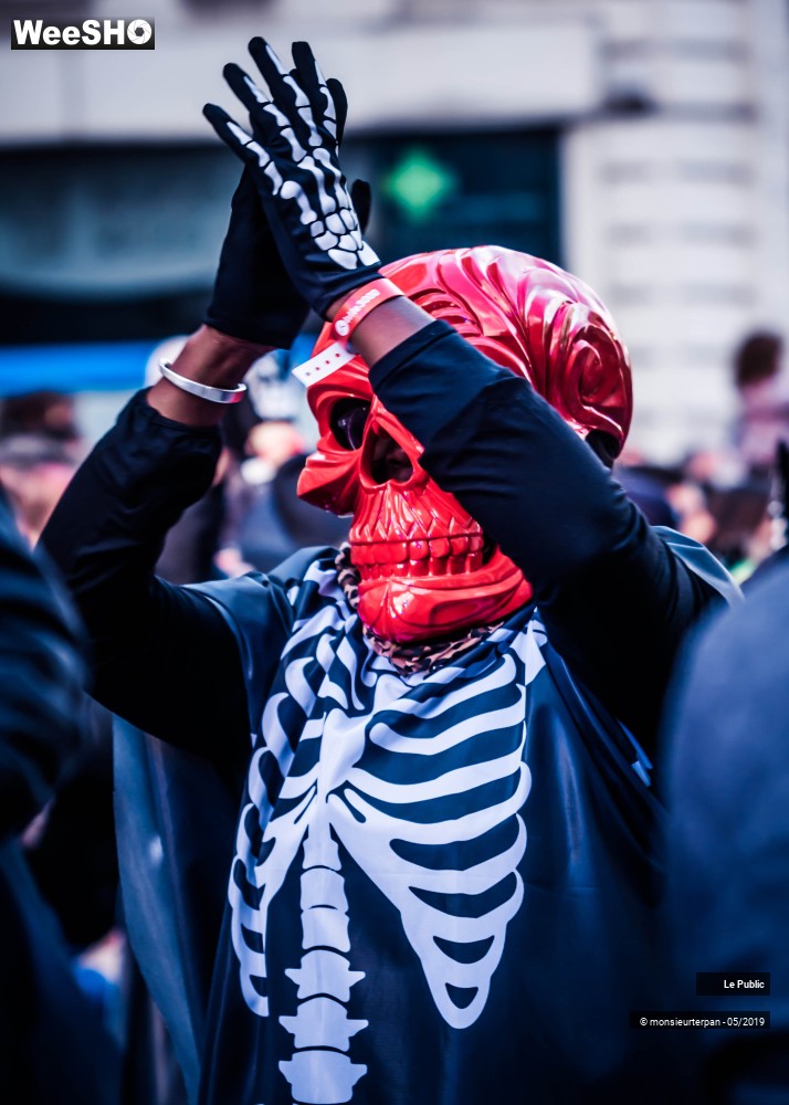 12/43 photos du spectacle Parade Eldorado