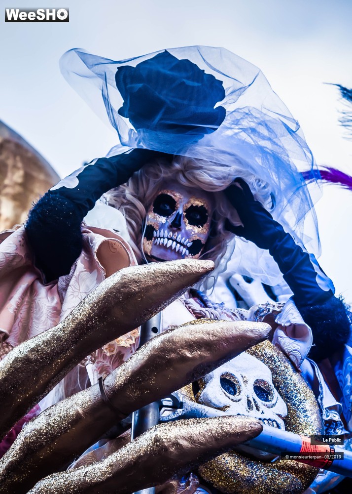 13/43 photos du spectacle Parade Eldorado