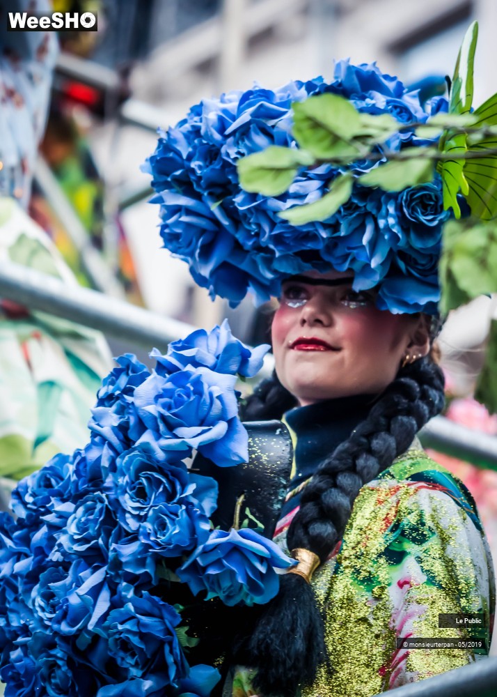 22/43 photos du spectacle Parade Eldorado