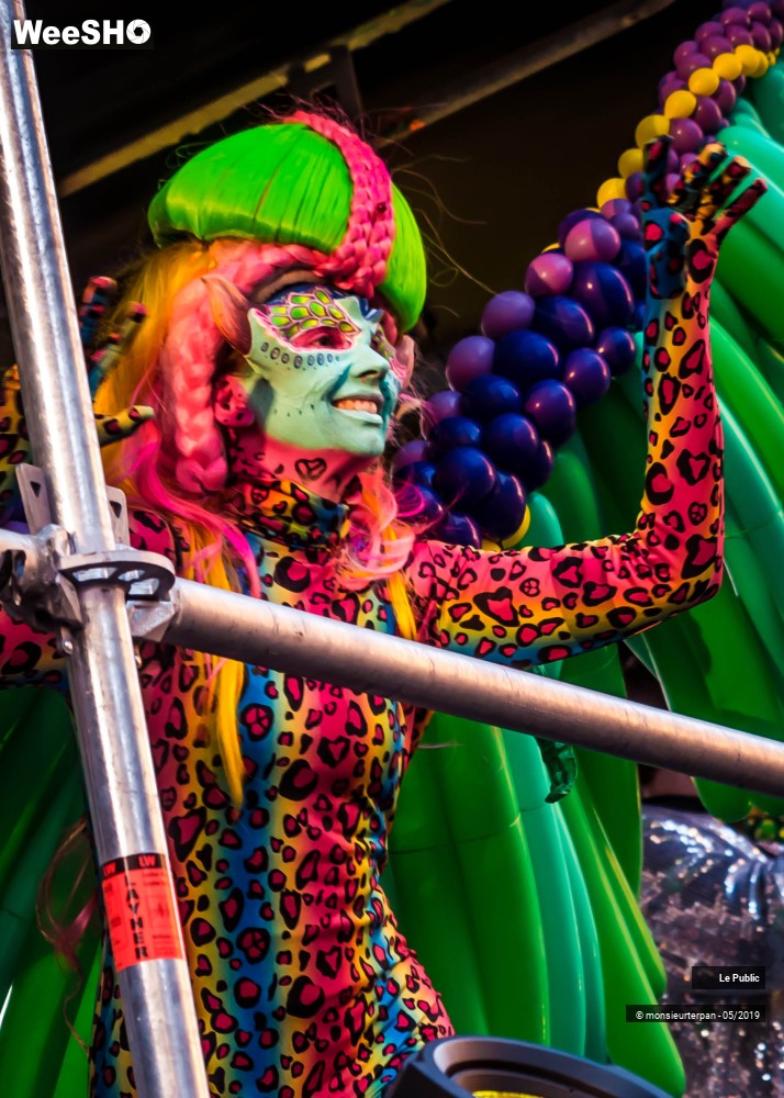 24/43 photos du spectacle Parade Eldorado