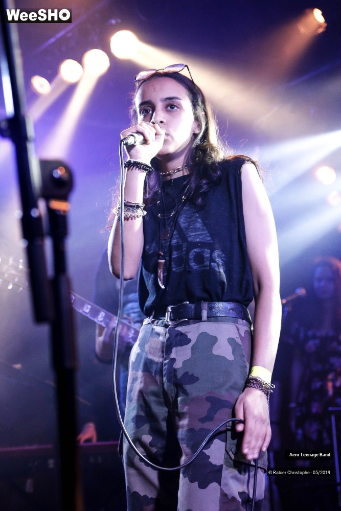 2/50 photos du spectacle Aero Teenage Band