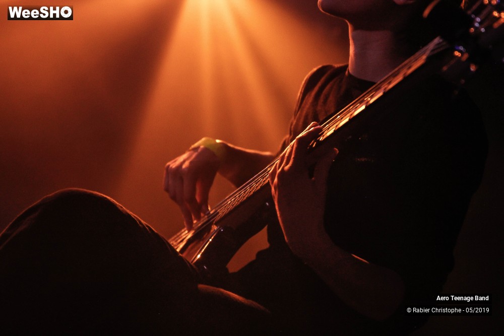 18/50 photos du spectacle Aero Teenage Band