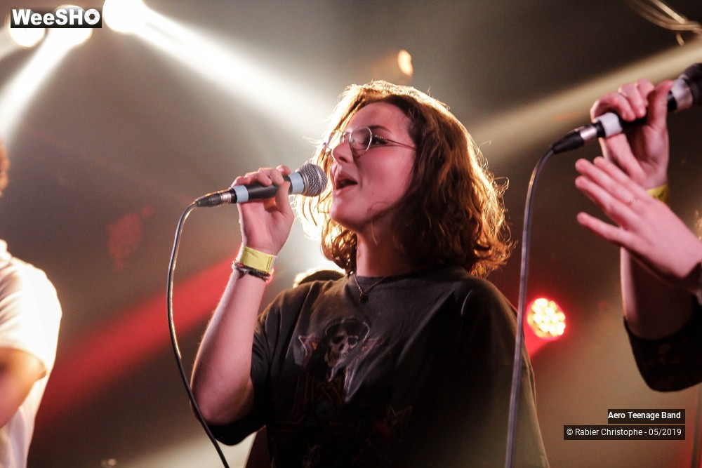 27/50 photos du spectacle Aero Teenage Band