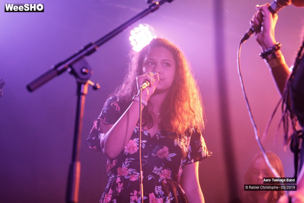 38/50 photos du spectacle Aero Teenage Band