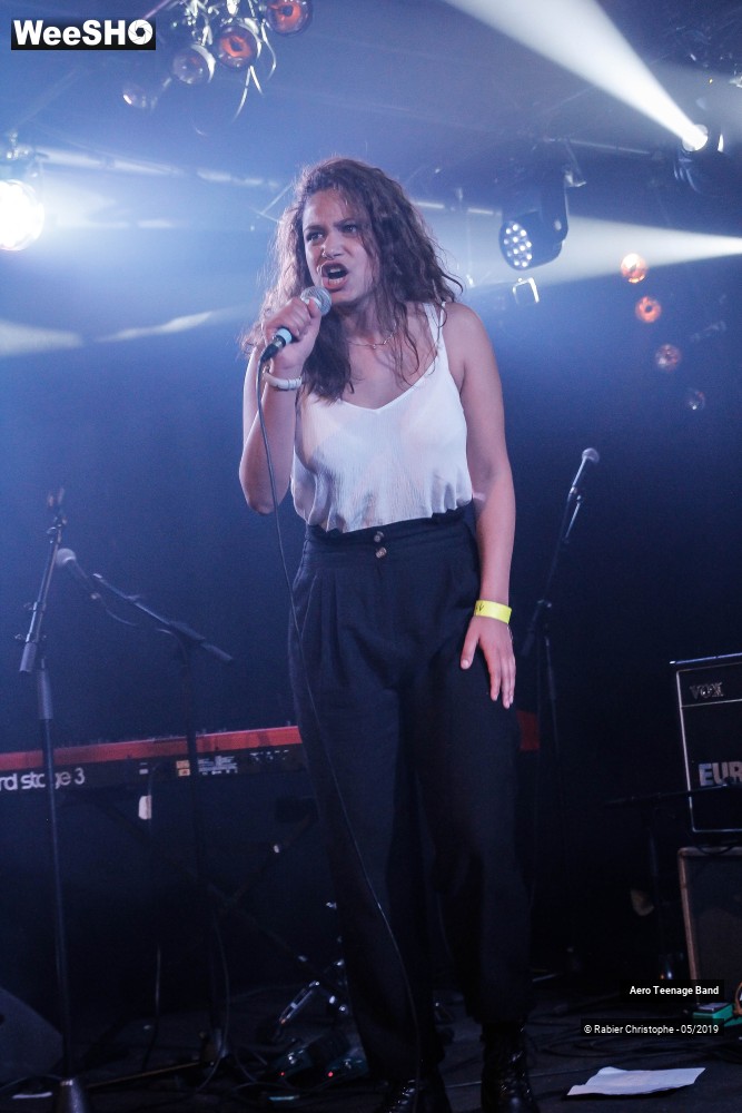22/51 photos du spectacle Aero Teenage Band