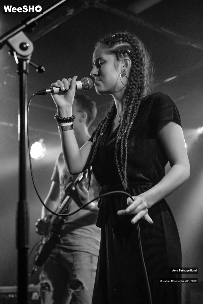28/51 photos du spectacle Aero Teenage Band