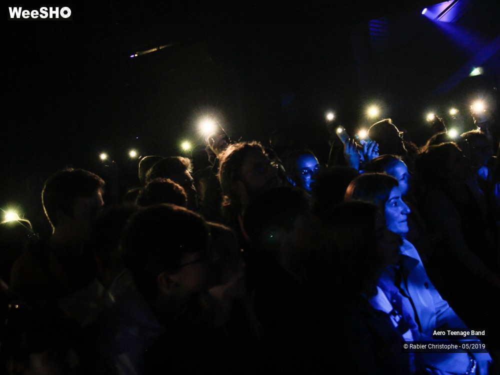 39/51 photos du spectacle Aero Teenage Band