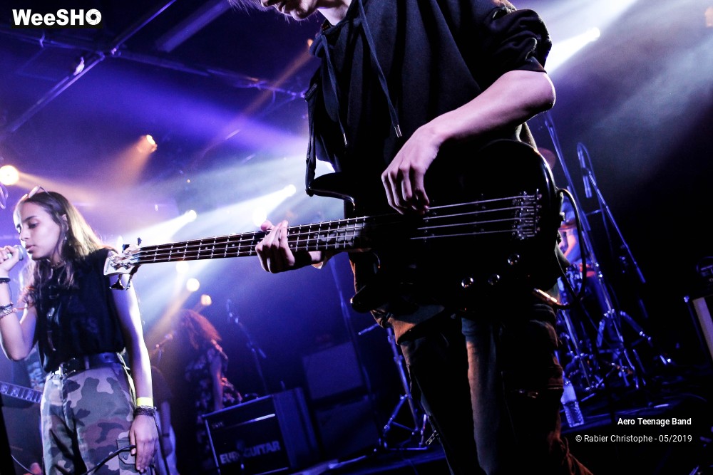 45/51 photos du spectacle Aero Teenage Band