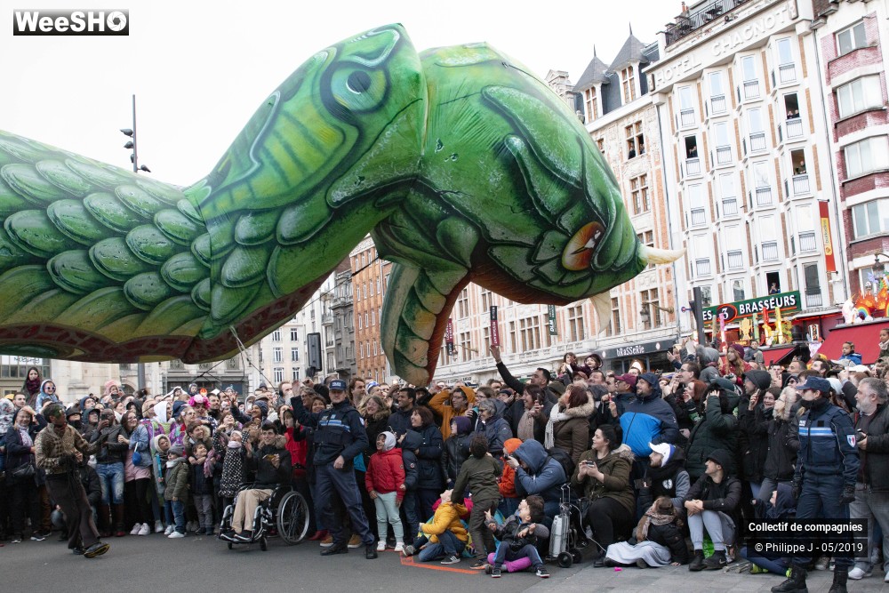 26/40 photos du spectacle Parade Lille Eldorado