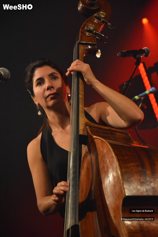 2/51 photos du spectacle Les Ogres de Barback