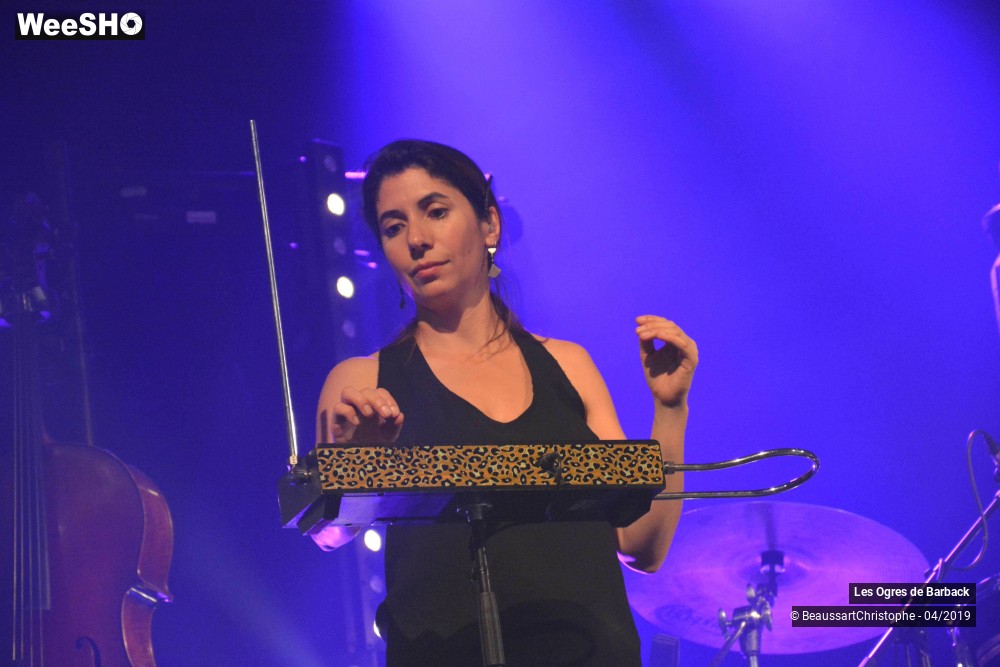 36/51 photos du spectacle Les Ogres de Barback