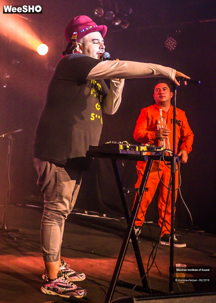 12/34 photos du spectacle Mexican Institute of Sound