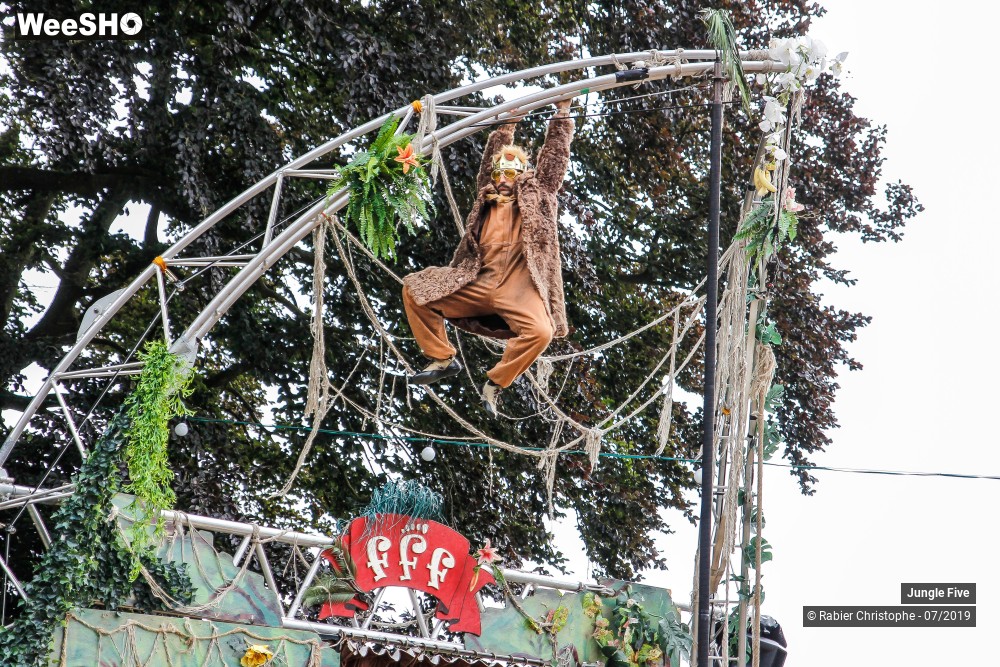 29/38 photos du spectacle Jungle Five