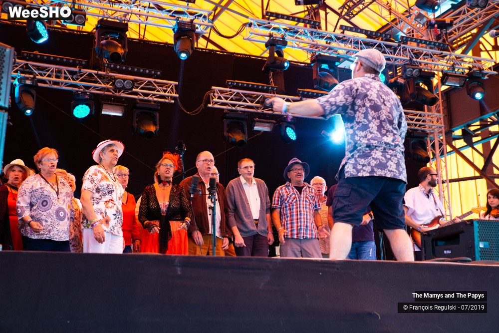 26/29 photos du spectacle The Mamys and the Papys
