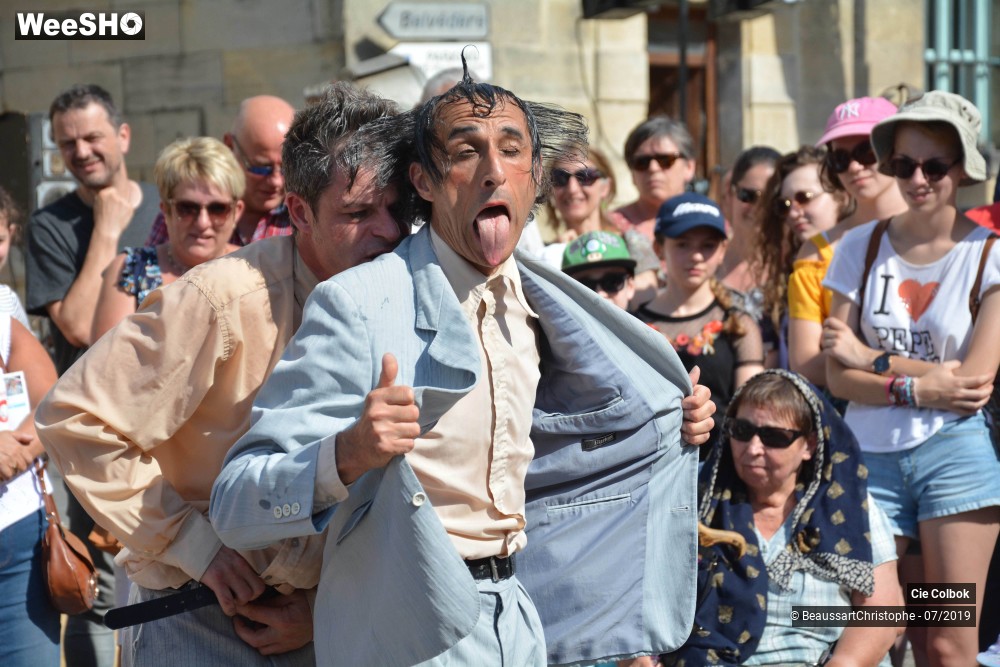 30/38 photos du spectacle Les Hirsutes