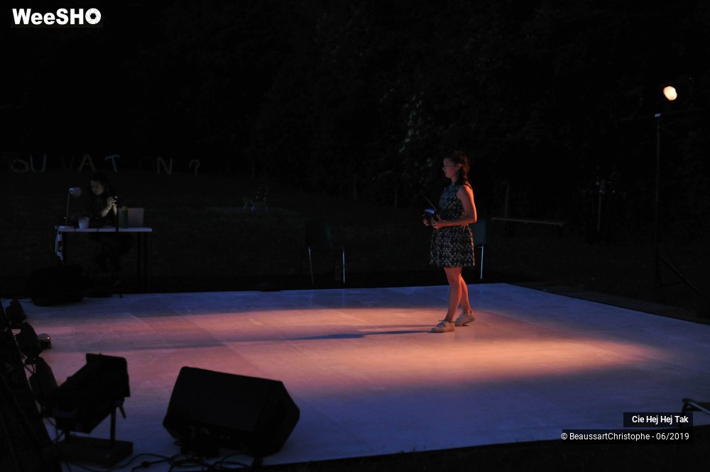 4/19 photos du spectacle Cohérence Des Inconnus