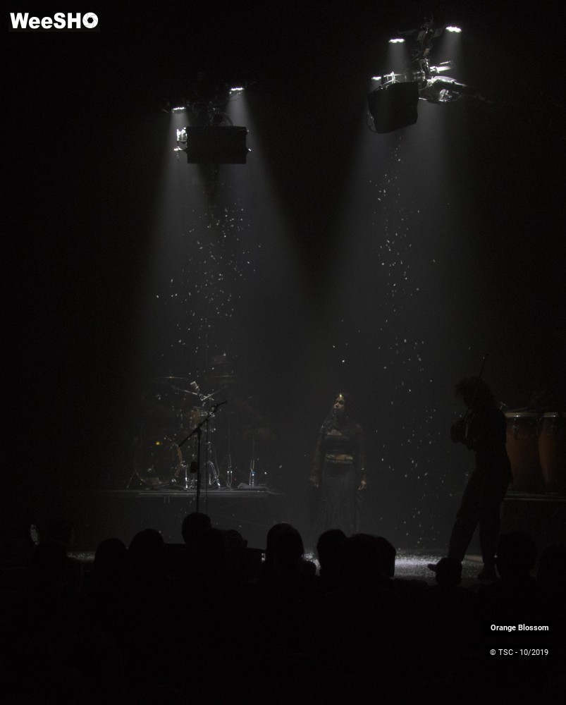 1/22 photos du spectacle Sharing