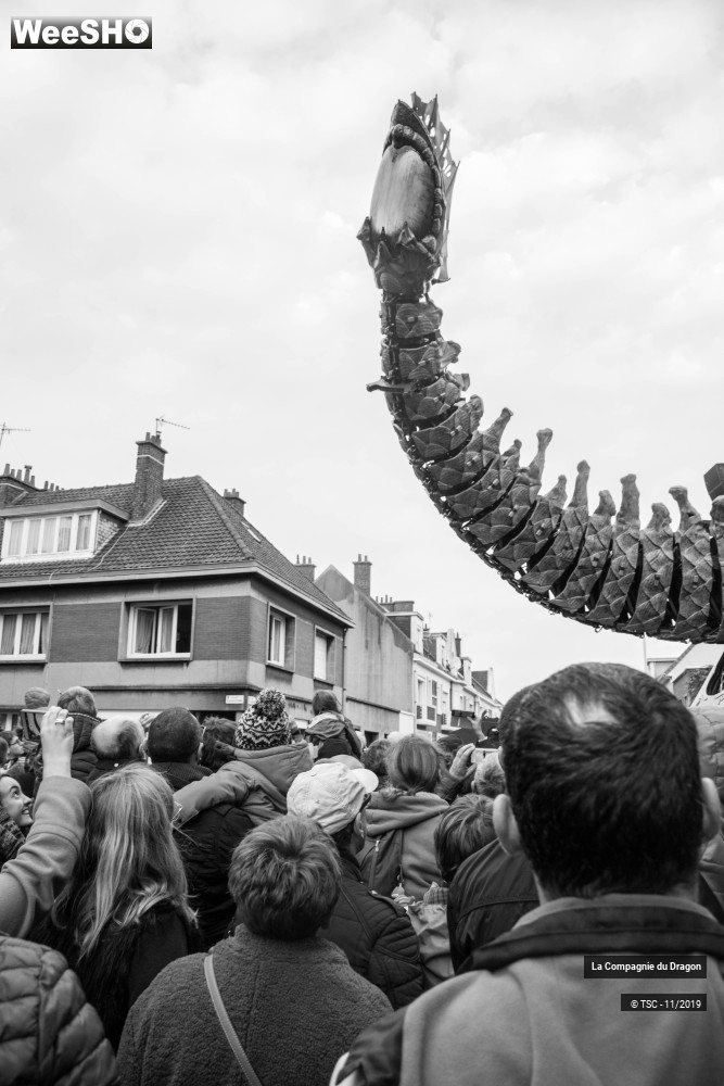 1/28 photos du spectacle Le Dragon de Calais