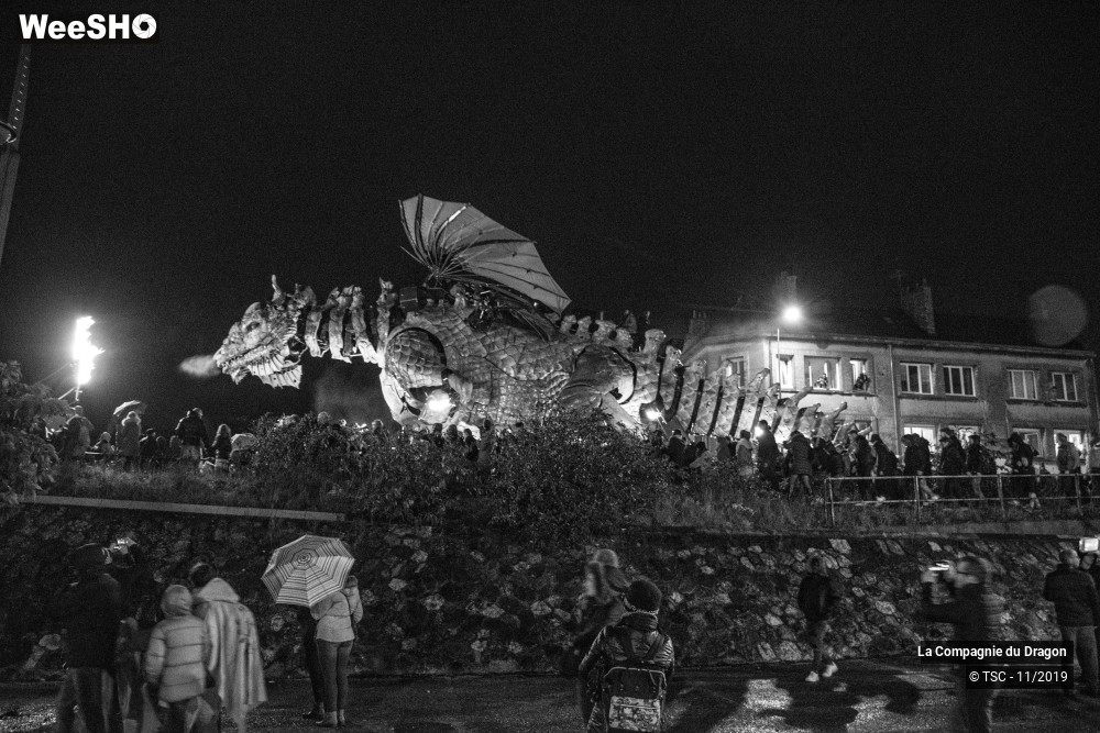 2/28 photos du spectacle Le Dragon de Calais