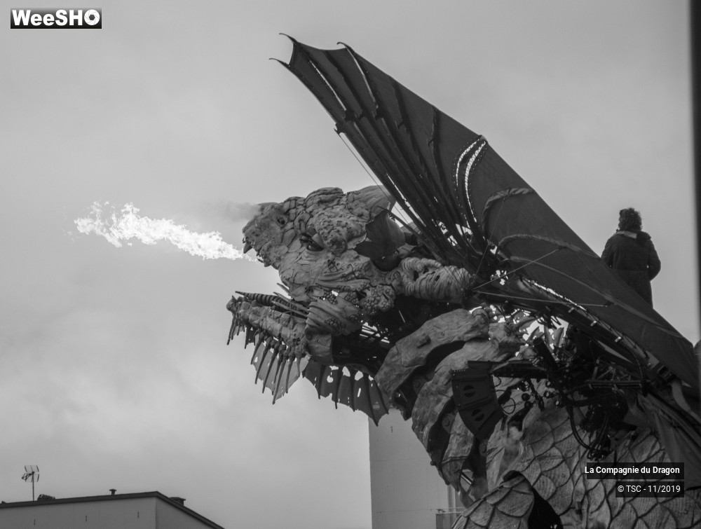 3/28 photos du spectacle Le Dragon de Calais