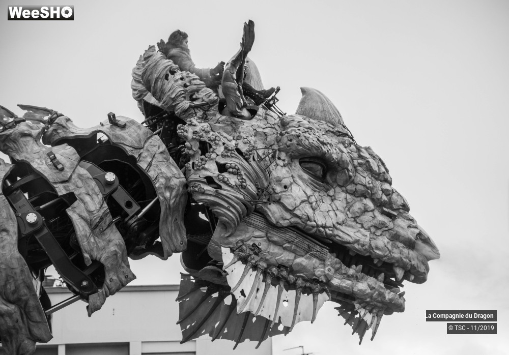12/28 photos du spectacle Le Dragon de Calais