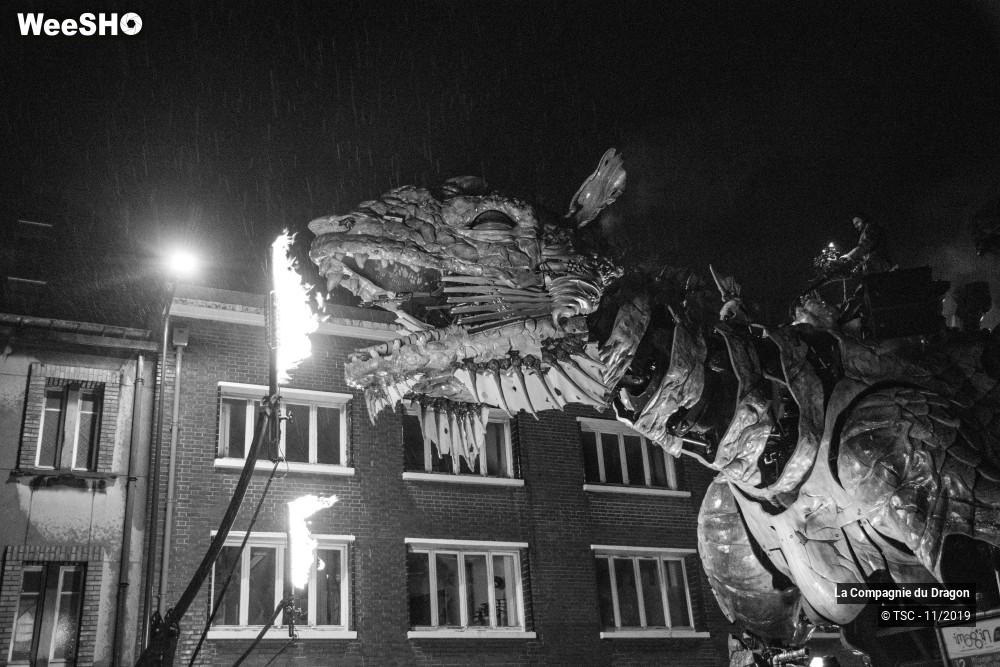 13/28 photos du spectacle Le Dragon de Calais