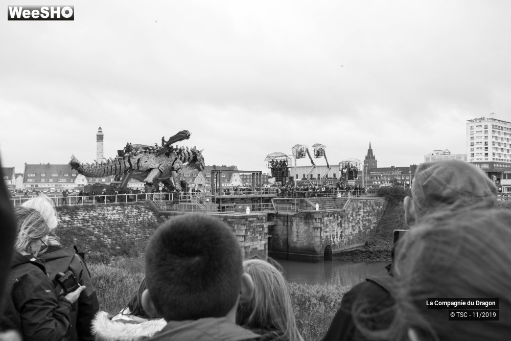 14/28 photos du spectacle Le Dragon de Calais