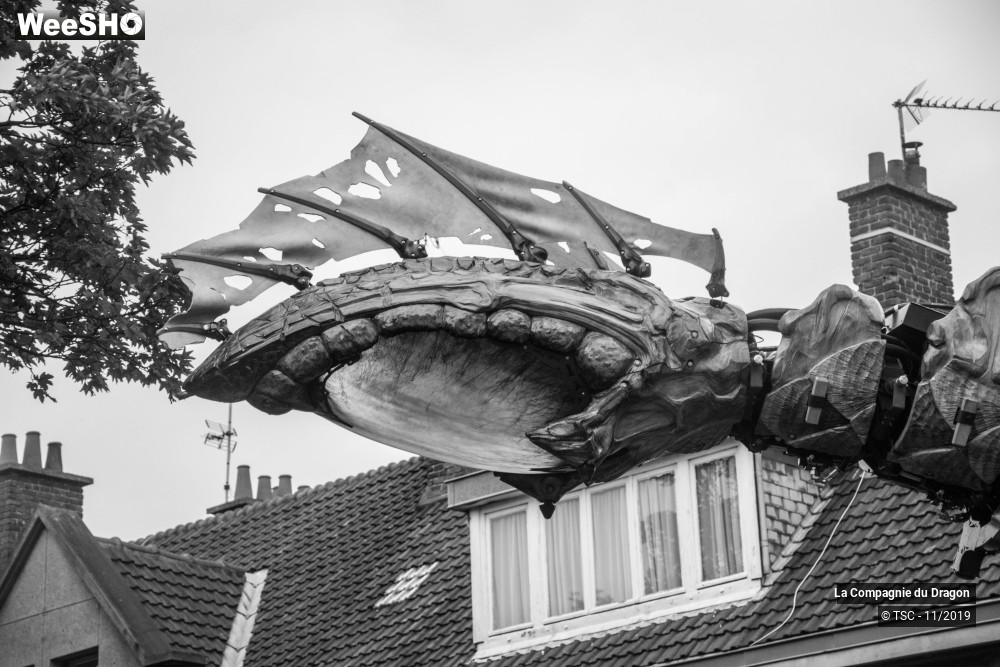 15/28 photos du spectacle Le Dragon de Calais