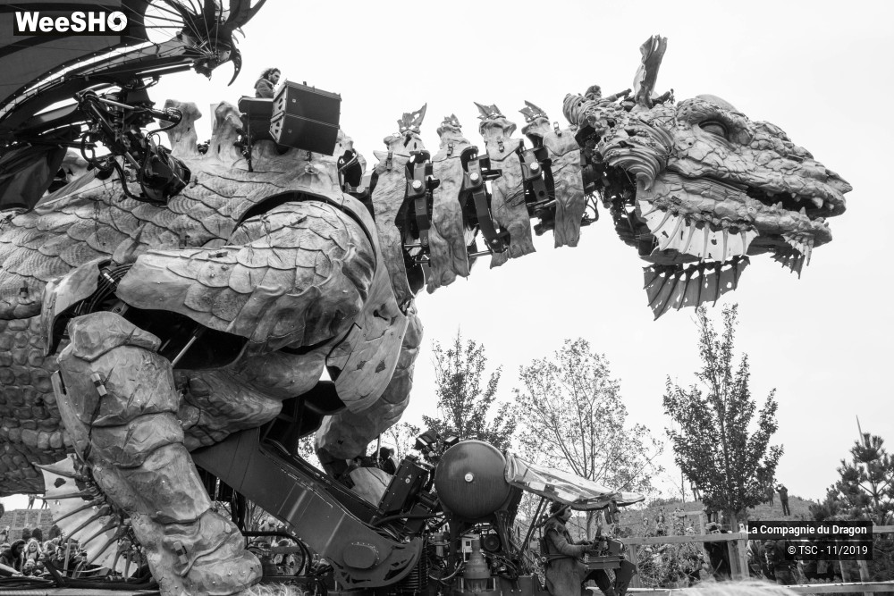 16/28 photos du spectacle Le Dragon de Calais