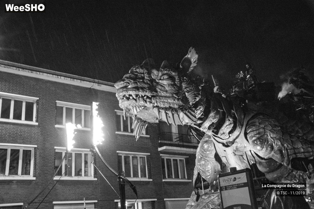 17/28 photos du spectacle Le Dragon de Calais