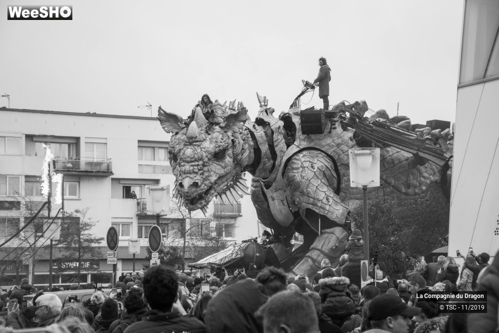 19/28 photos du spectacle Le Dragon de Calais