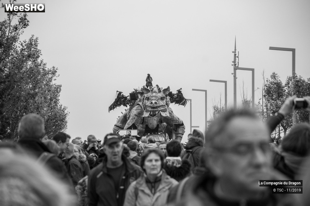 20/28 photos du spectacle Le Dragon de Calais