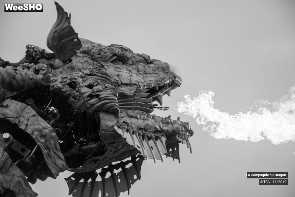 22/28 photos du spectacle Le Dragon de Calais