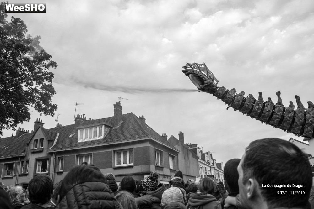 24/28 photos du spectacle Le Dragon de Calais