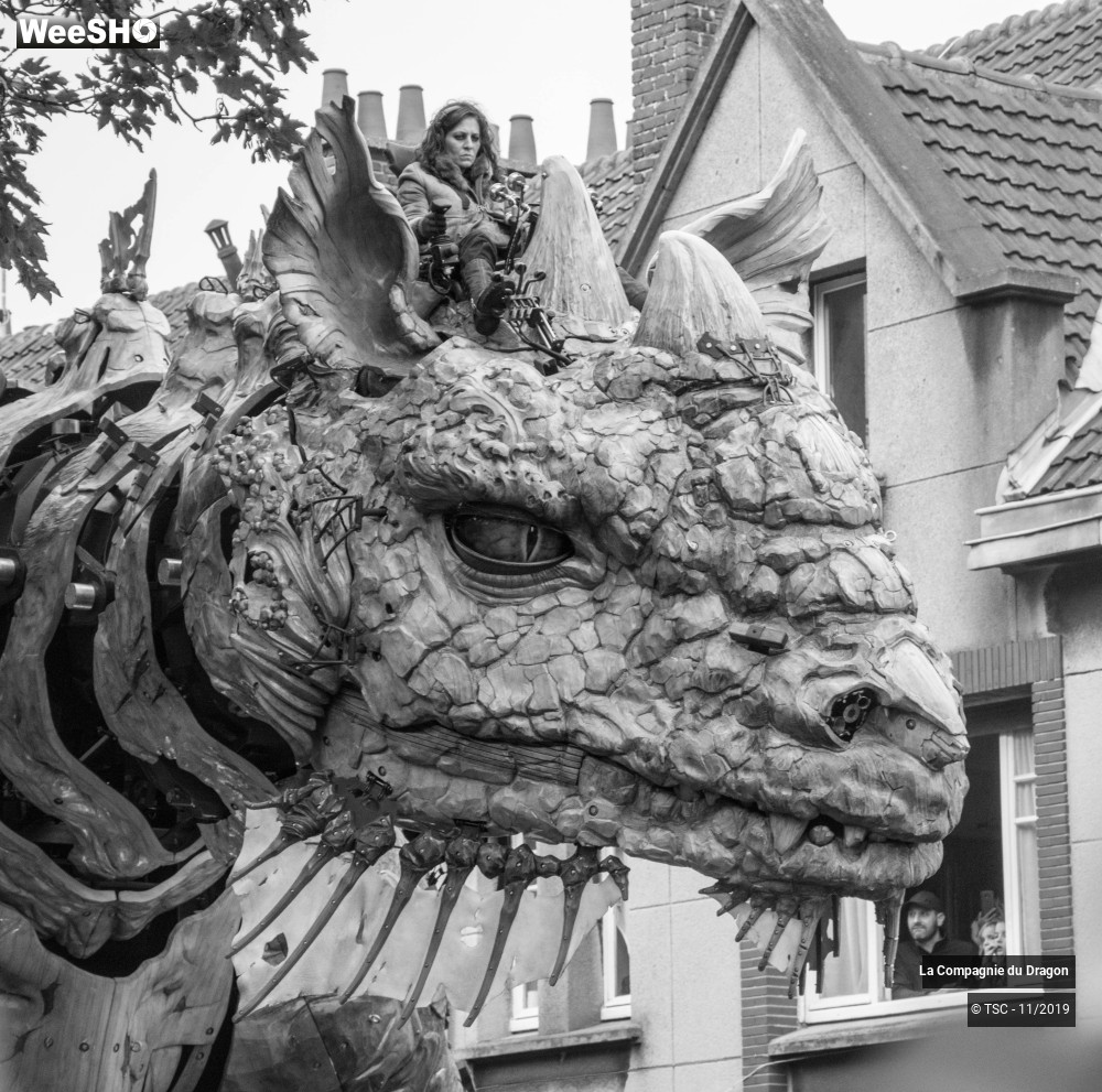 25/28 photos du spectacle Le Dragon de Calais
