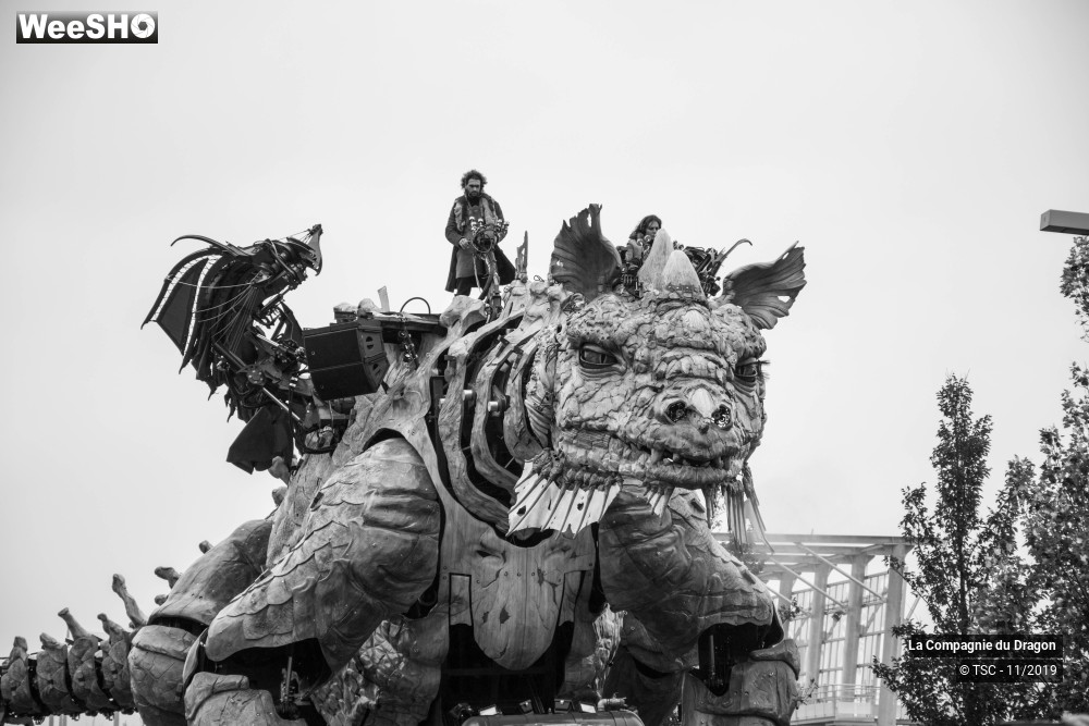 26/28 photos du spectacle Le Dragon de Calais