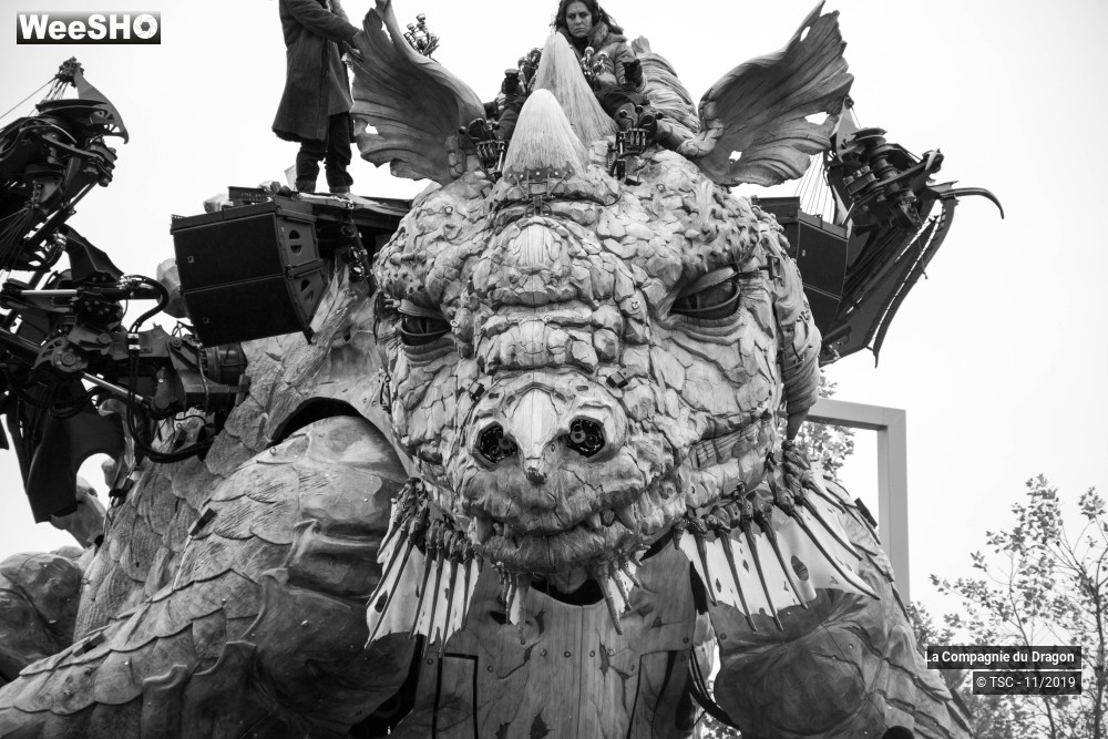 28/28 photos du spectacle Le Dragon de Calais