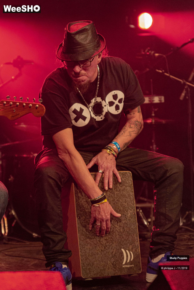 4/6 photos du spectacle Shaky Puppies